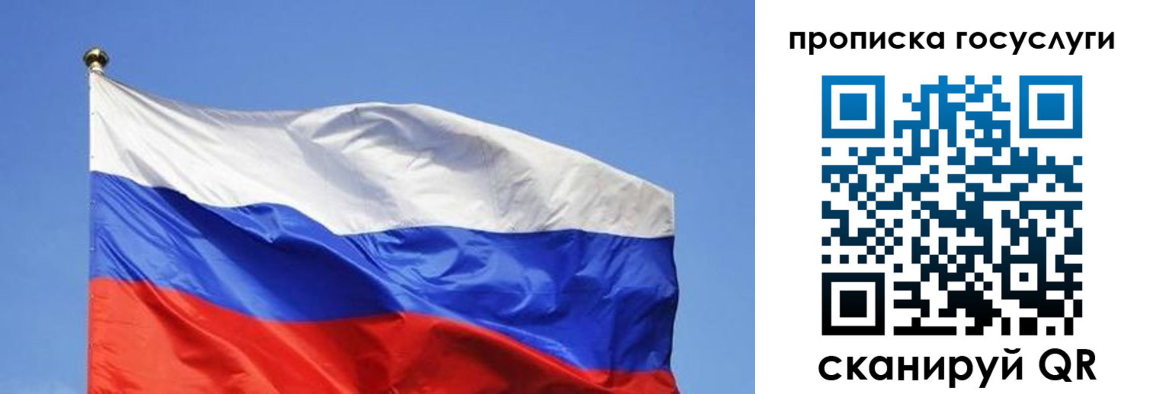 пропишу в квартире в Чкаловске